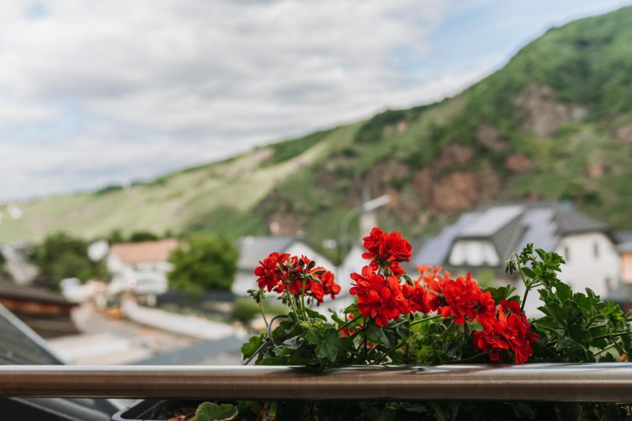 Wein- Und Gaestehaus Schwaab&Sohn Erden Kültér fotó